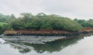 chakkam kandam waste 1